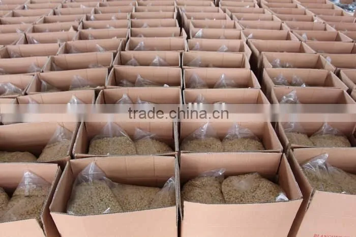 new crop Chinese blanched peanut kernels