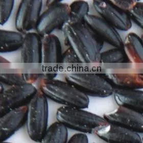 rice color sorting machinery