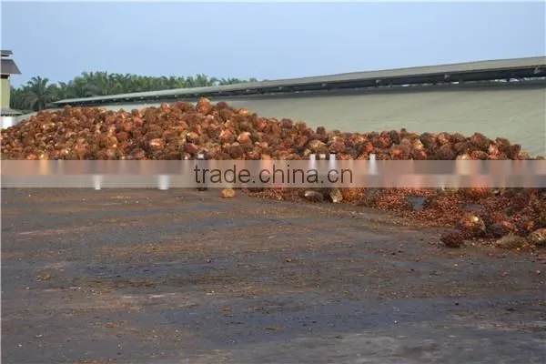 Palm oil plant installed in Indonesia