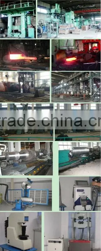 China Custom Forging Copper Impeller