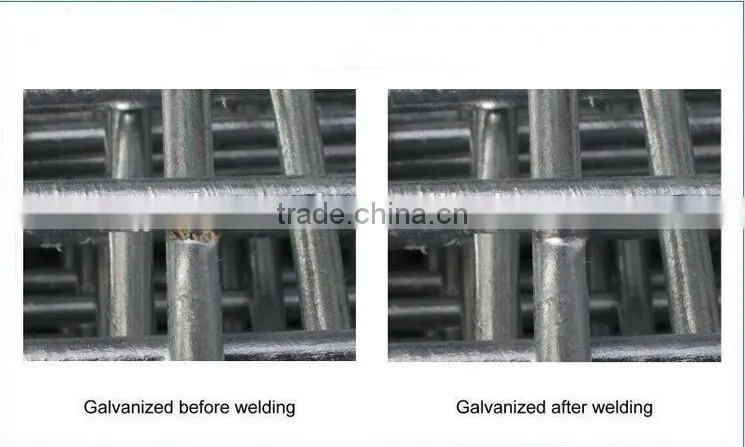 2*2 2*4 welded wire mesh panel / galanized welded wire mesh panel