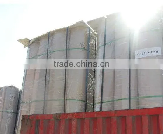 Welded Wire mesh(super quality and competitive price)