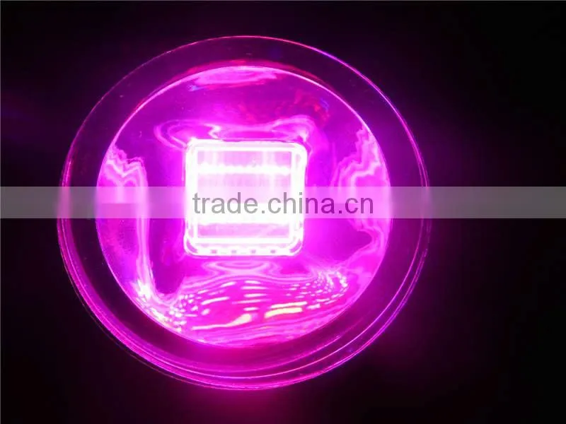 high power LED grow light best for greenhouse project