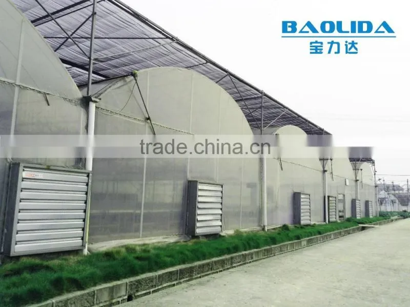 BaoLiDa Large Multi-span Plastic film Greenhouse Technological greenhouse system