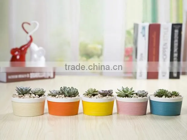 2016 new special design indoor small colorful ceramic planter