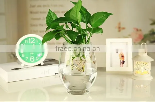 clear glass flower vase for home decoration tall glass vase
