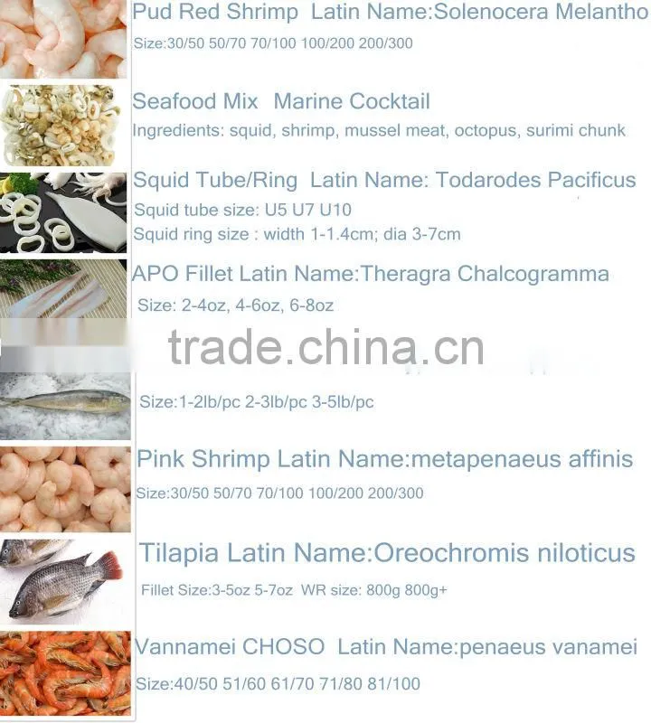 dried squid snacks