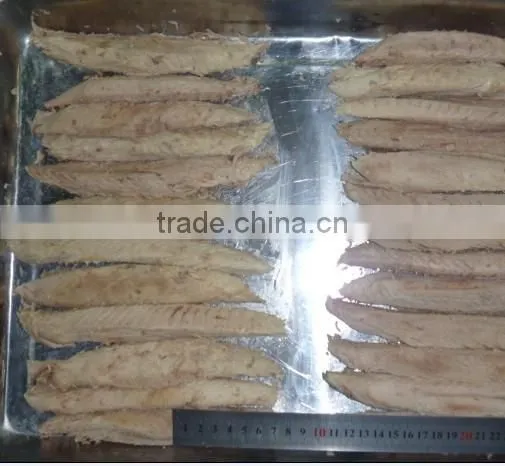 Frozen Bonito Tuna