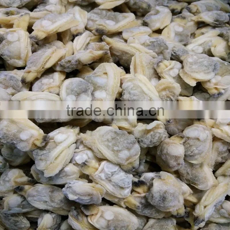 BOILED AND READY TO EAT SHORT NECKED CLAM