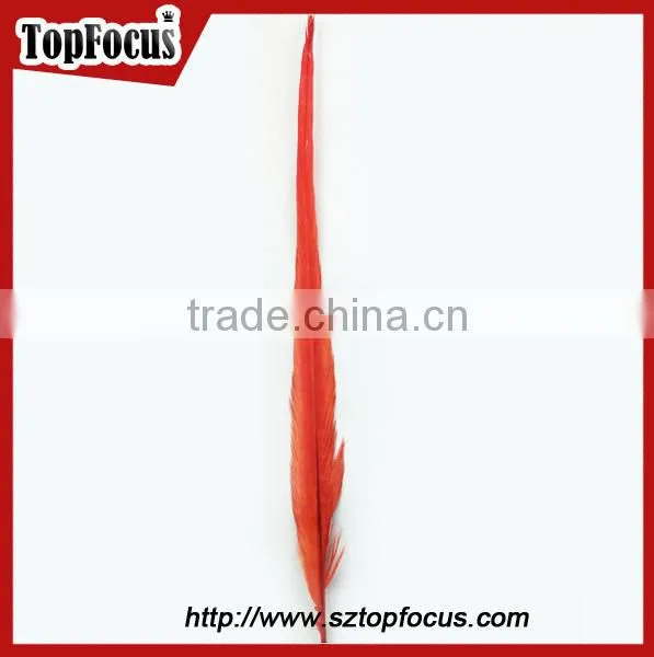 50-55cm assorted color dyed Pheasant tail feathers