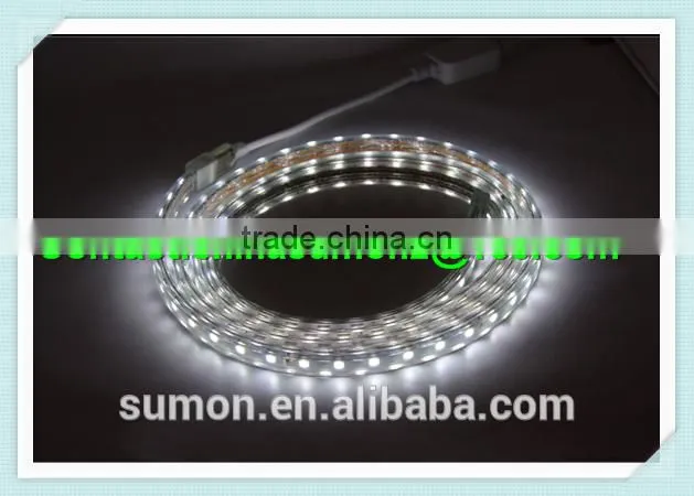 China supplier SMD holiday LED lighting 110 220V 60leds/m dmx rgb led strip light