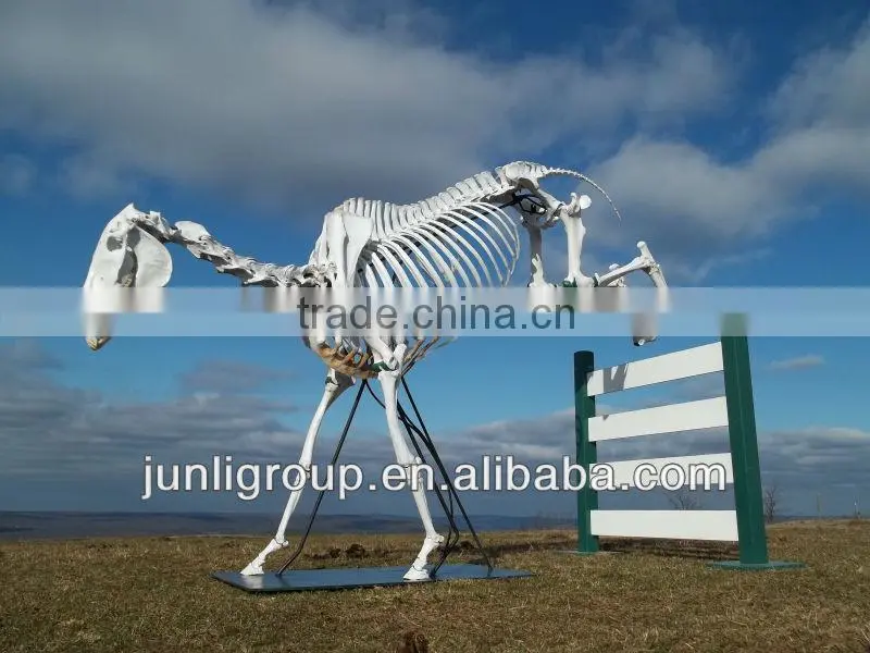 JLDF-G-0026 Hot Sell Fiberglass Bull Skeleton