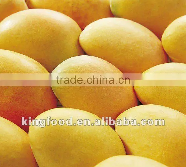 Delicious fresh IQF mango dice