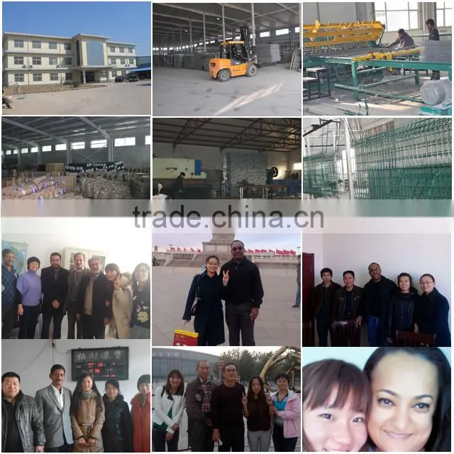 Anping Factory Hot Dipped Galvanized Welded Wire Mesh/ Stainless Steel Welded Wire Mesh