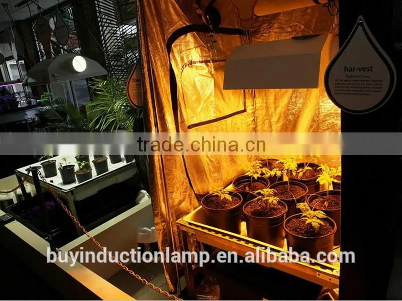 UL approved red phospor induction grow lamps