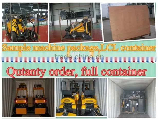 Chian famous brand mini skid steer loader crawler type TS280 with Briggs&Stratton engine from USA