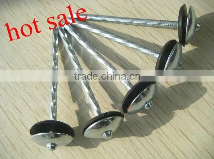 New type common wire Nails Suppliers Directly