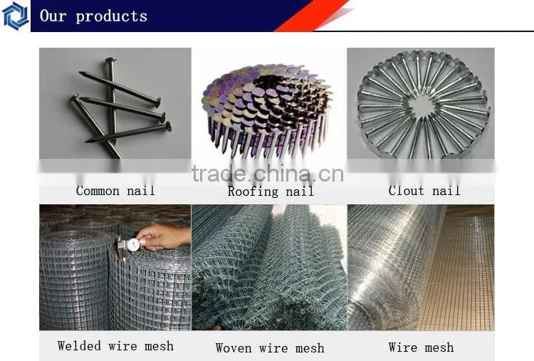 polished common building wire nails