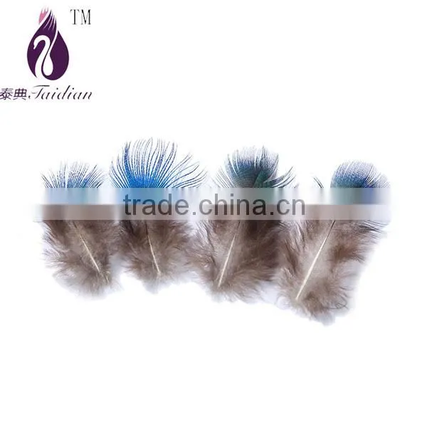blue feather of peacock's neck for Jewelry making clothes