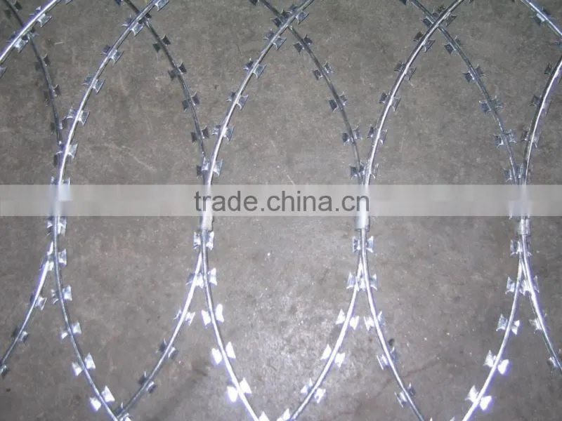 Cross Type Razor Wire Fencing for Military Base