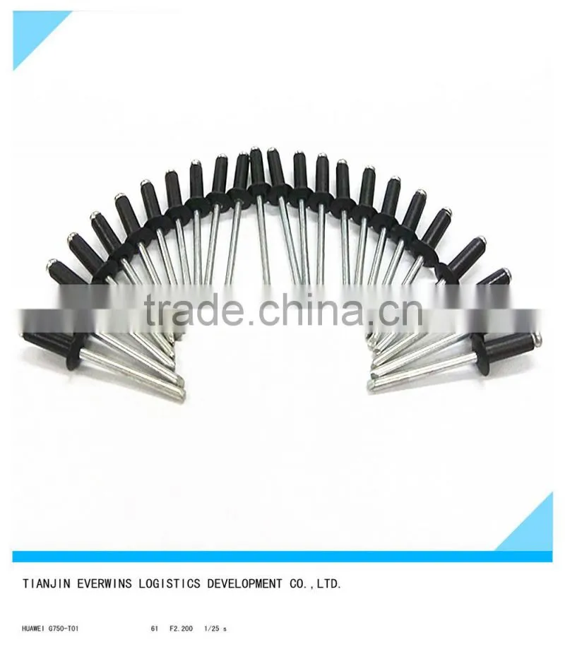 Black color Blind rivet