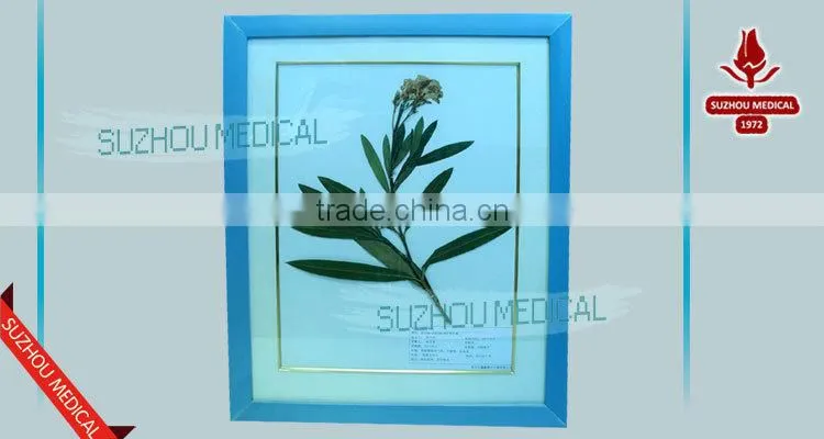 Medicinal Plants Herbarium