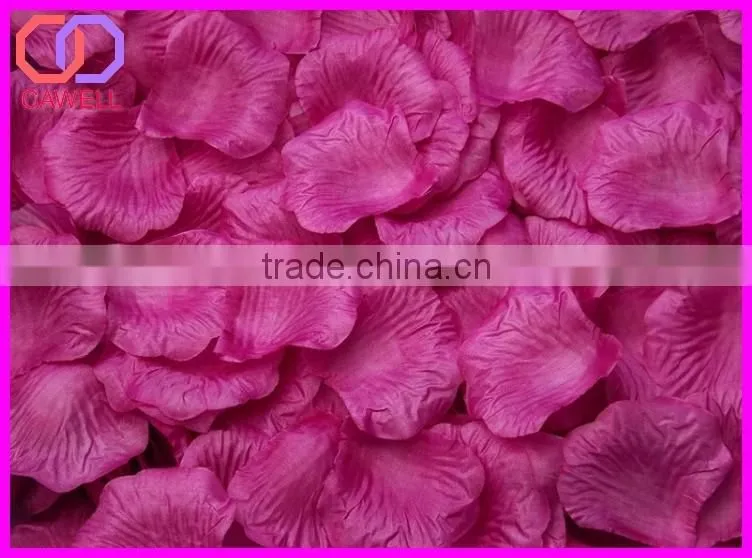 preserved natural rose petals