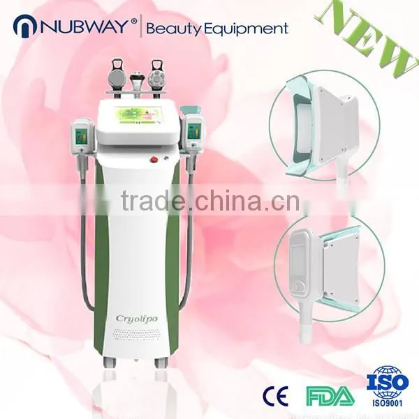 portable cryolipolysis fat freeze slimming beauty machine for home /salon use