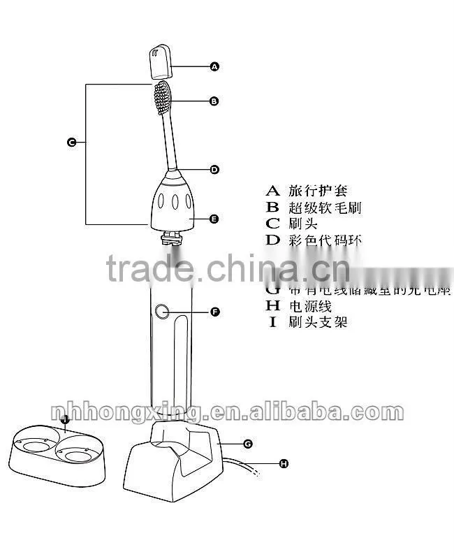 Waterproof construction Adult 31000RPM Sonic toothbrush