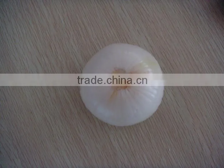 White good peeled onion producer in china