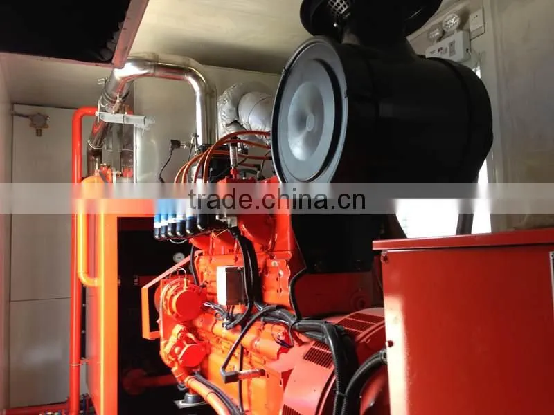 Biogas generator price with CHP