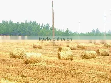 The lowerst price Mini Hay Bale for sale/small round hay baler
