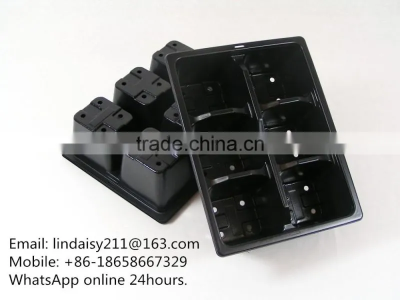 8 cell small black plastic seed tray insert trays, stock MOQ 10000pcs
