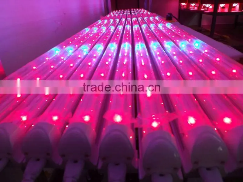 VANQLED G13 led grow lamp tube for plant factory with CE,RoHS approved,one-end plug connecting