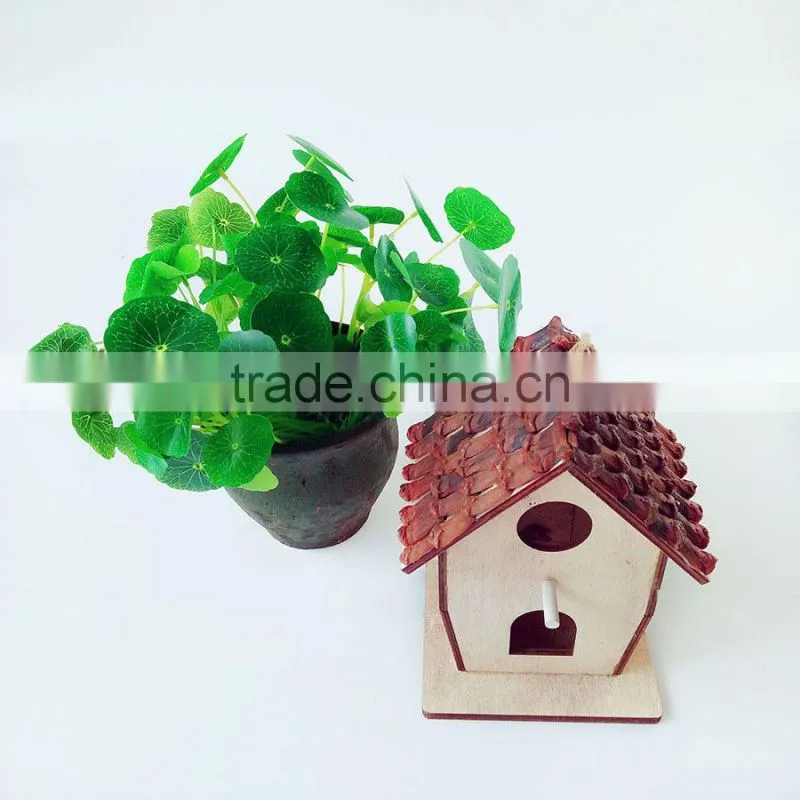 Wooden love of the bird's nest