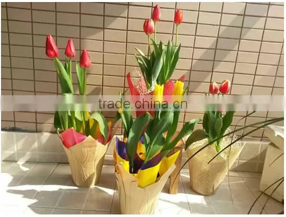 6 inch Natural Kraft Pot Cover/pot covers and planters