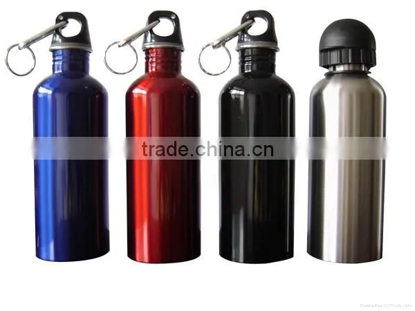 Custom Stainless Steel Bottle/Travel Sports Bottle