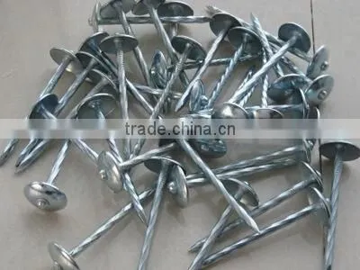 High quality polished umbrella roofing nails in China