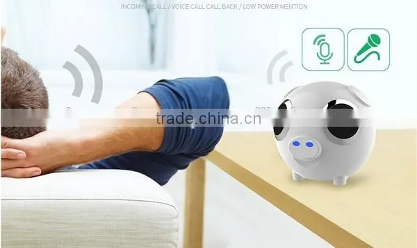 Bluetooth Speaker Dual Stereo Horn Power with Recharge Battery