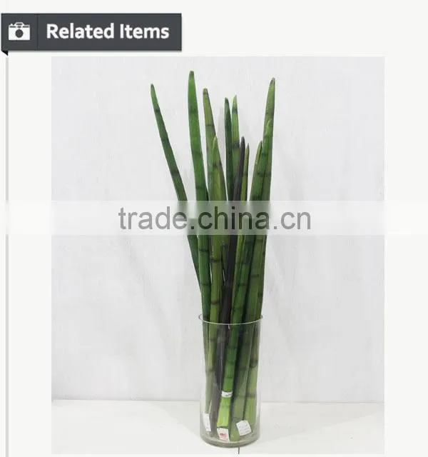 Manufacturing maguey garden decoration indoor decoration handmade plant for sale