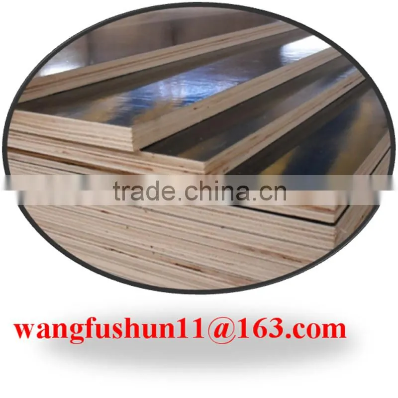 Dubai film faced plywood for construction true 18mm film faced plywood