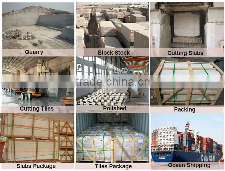 Factory Supply Wall Cladding Polished Pearl White Granite