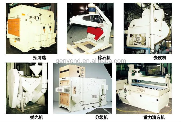Complete Cocoa Bean Processing/roasting/peeling Plant