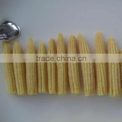 price canned baby corn in glass jar with top quality