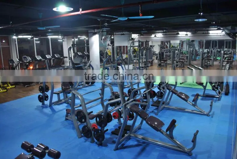 Exercise Bench TZ-8027 Adjustable Abdominal Bench/Shandong Tianzhan Fitness Equipment