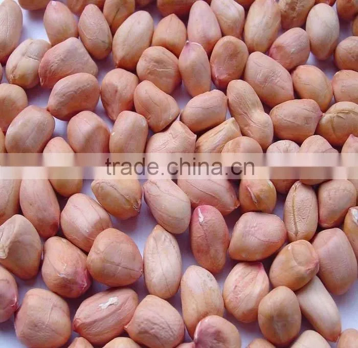 New Crop Chinese Raw Peanut In Shell 9/11