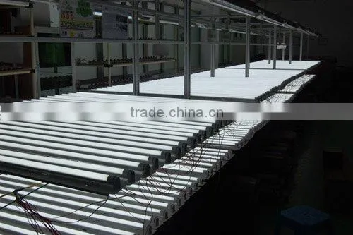 1900LM T8 LED Tube light