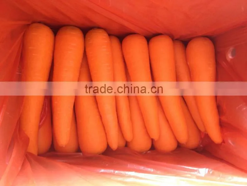 Fresh Carrot/bulk carrot /fresh red carrot