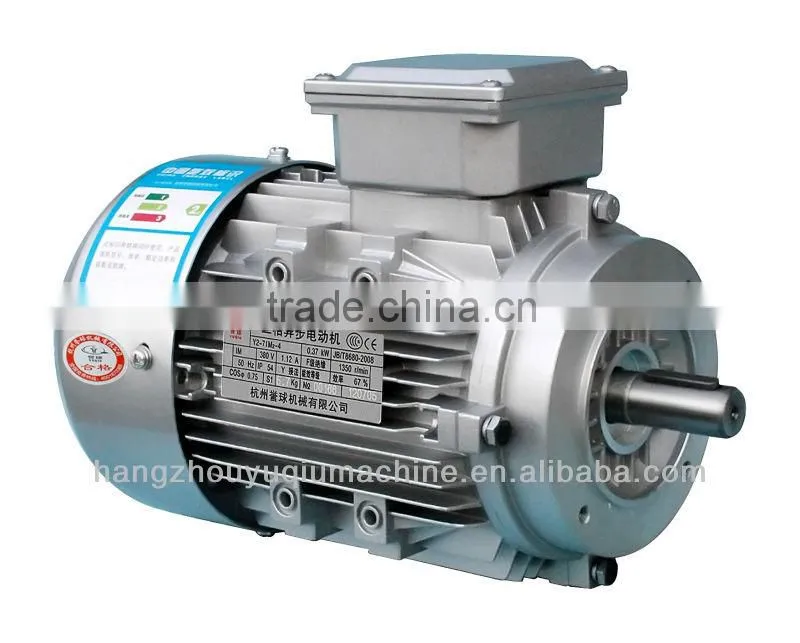 IE2 High Efficiency Three Phase Electric Motor