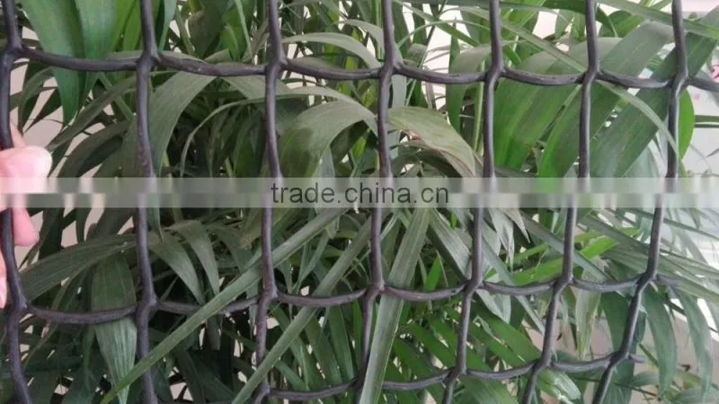 HDPE extruded Plastic Net/plastic mesh
